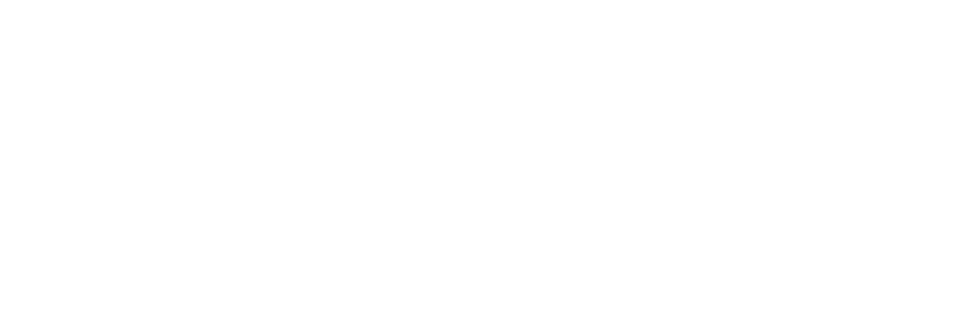 Skyec Solutions